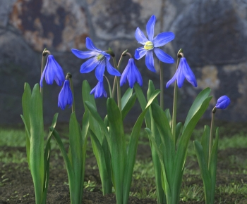 Modern Flowers And Grass-ID:820059069