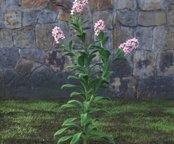 Modern Flowers And Grass-ID:169302949