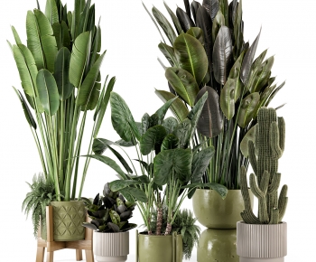 Modern Ground Green Plant Potted Plants-ID:250161899