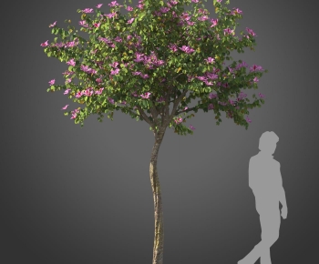 Modern Tree-ID:377587087