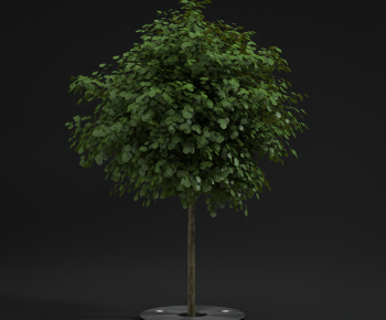 Modern Tree Pool-ID:942943107