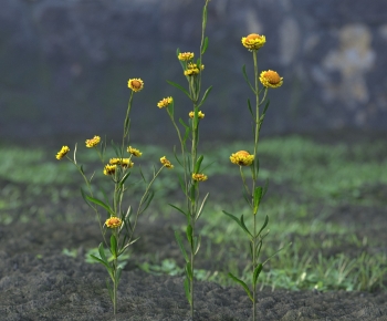 Modern Flowers And Grass-ID:852844008