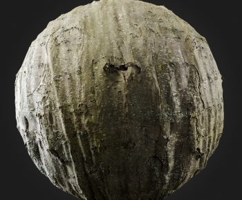 Modern Tree-ID:363369949
