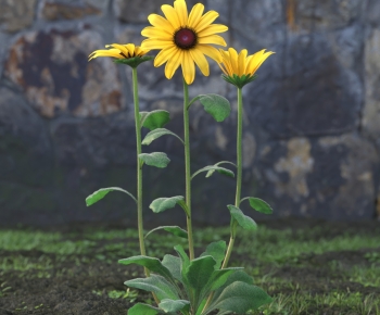 Modern Flowers And Grass-ID:164762979