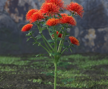 Modern Flowers And Grass-ID:266846902