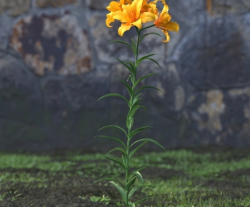 Modern Flowers And Grass-ID:676440007