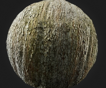 Modern Tree-ID:138277057