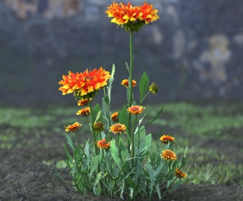 Modern Flowers And Grass-ID:848717938