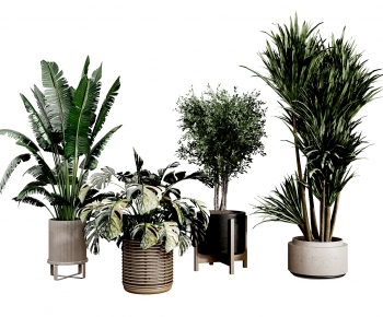 Modern Ground Green Plant Potted Plants-ID:410109047