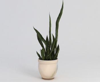 Modern Potted Green Plant-ID:527602917