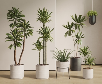 现代落地绿植盆栽组合-ID:731842994
