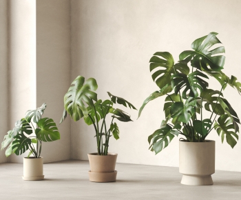 Modern Ground Green Plant Potted Plants-ID:721904047