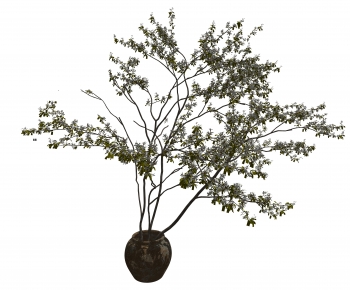 Wabi-sabi Style Ground Green Plant Potted Plants-ID:405932901