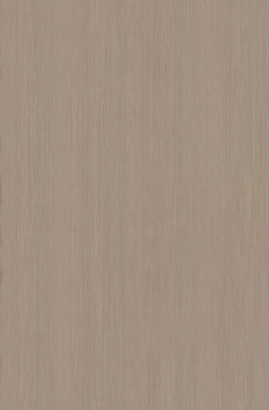 ModernWood Texture
