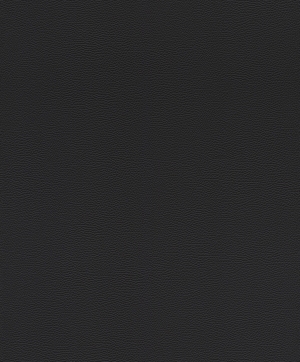 ModernFine Grain Leather