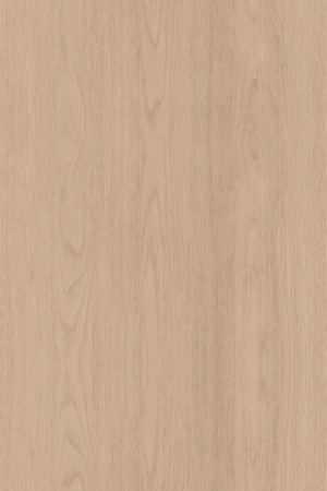 ModernWood Texture