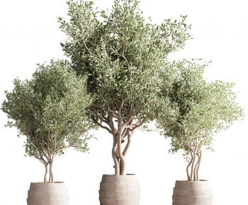 Modern Ground Green Plant Potted Plants-ID:421978954
