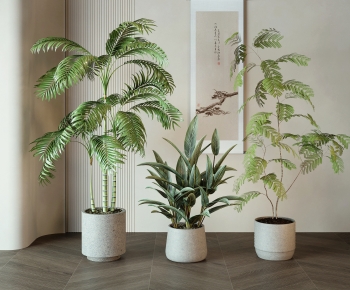 现代落地绿植盆栽组合-ID:653712038