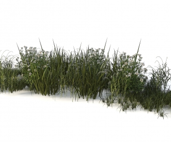 Modern The Grass-ID:137424951