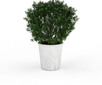 Modern Potted Green Plant-ID:800249101