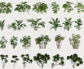 Modern Plant-ID:743453031