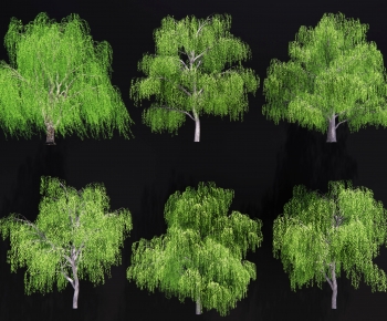 Modern Tree-ID:926354892