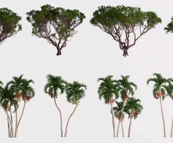 Modern Tree-ID:479469065