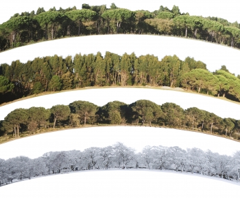 Modern Landscape-ID:816369066