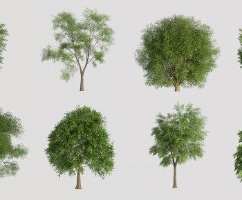 Modern Tree-ID:886424063