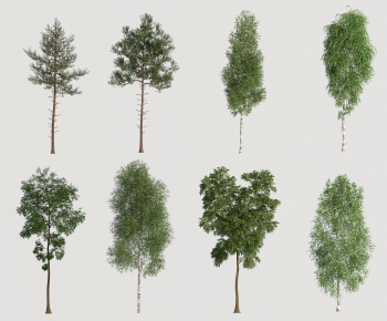 Modern Tree-ID:815655958