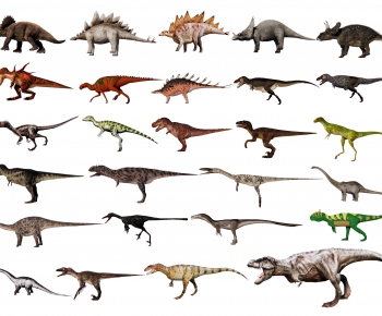 Modern Other Animals-ID:104456901