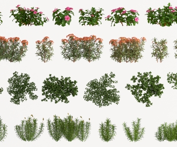 Modern Flowers And Grass-ID:960856915