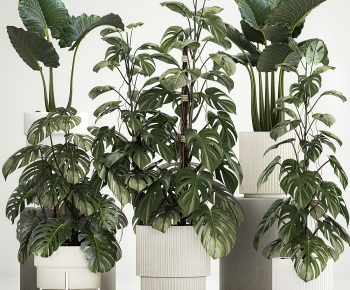 Modern Ground Green Plant Potted Plants-ID:888554107