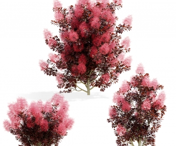 Modern Tree-ID:671538119