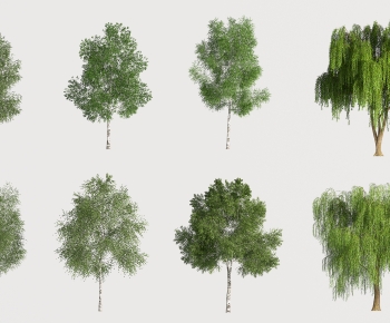 Modern Tree-ID:783988003