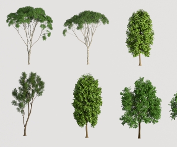 Modern Tree-ID:196849119