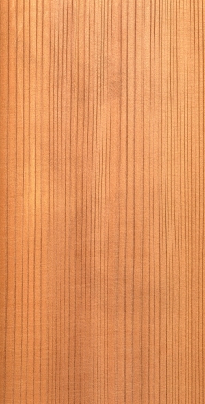 ModernWood Texture