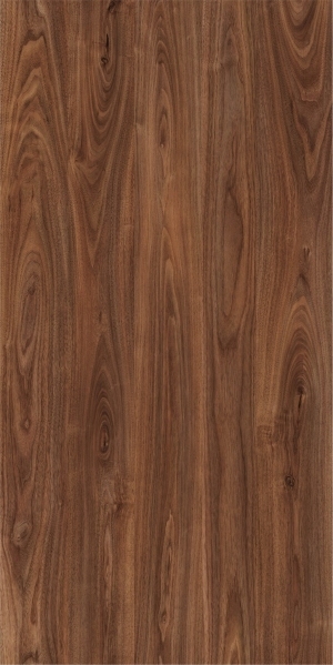ModernWood Texture