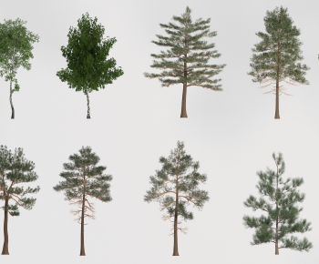 Modern Tree-ID:893727065