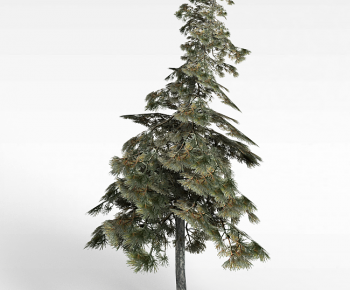 Modern Tree-ID:262182956