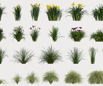 Modern The Grass-ID:225413084