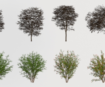 Modern Tree-ID:958302028