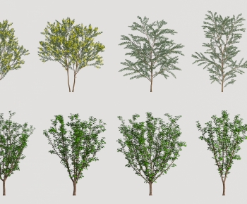 Modern Tree-ID:516180992