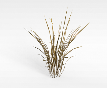 Modern The Grass-ID:978918082