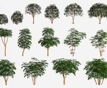 Modern Tree-ID:749262092