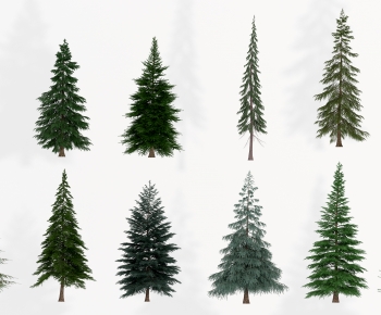 Modern Tree-ID:317748079