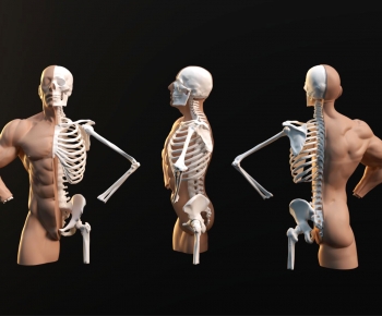 Modern Medical Equipment-ID:248811014