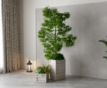 现代落地绿植盆栽组合-ID:903348913