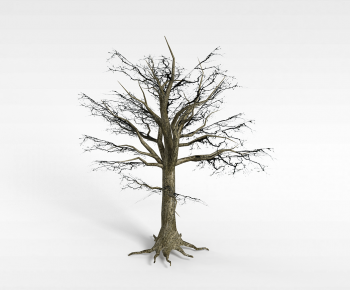 Modern Tree-ID:929975997