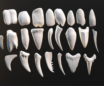 Modern Other-ID:175040967